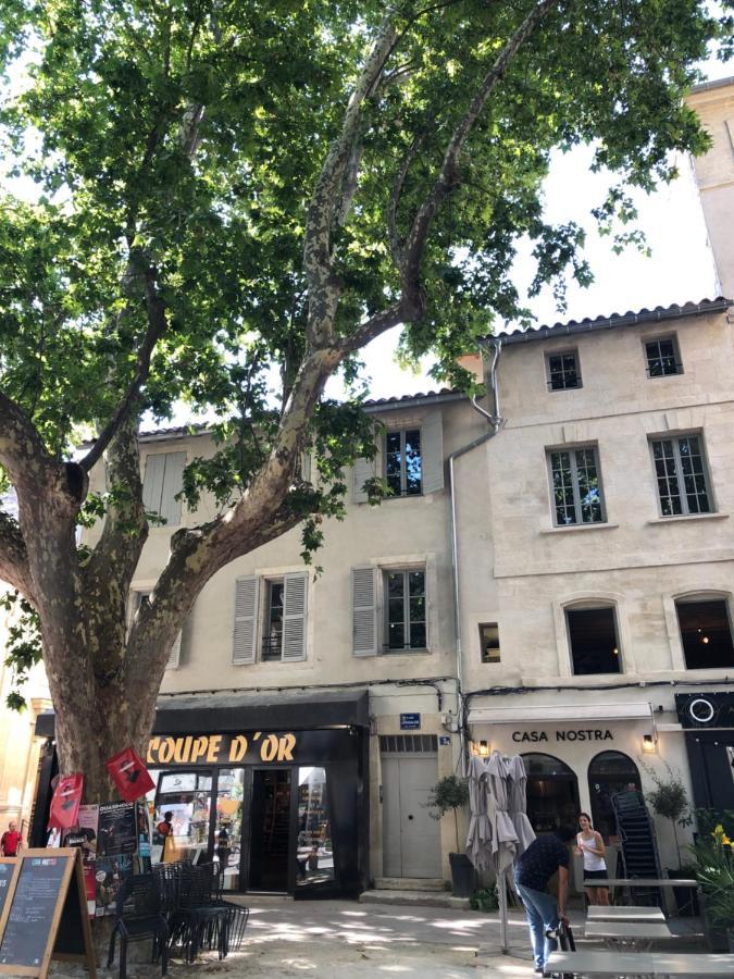Avignon Pedestrian Area, Charming, 4 Persons Apartment Luaran gambar