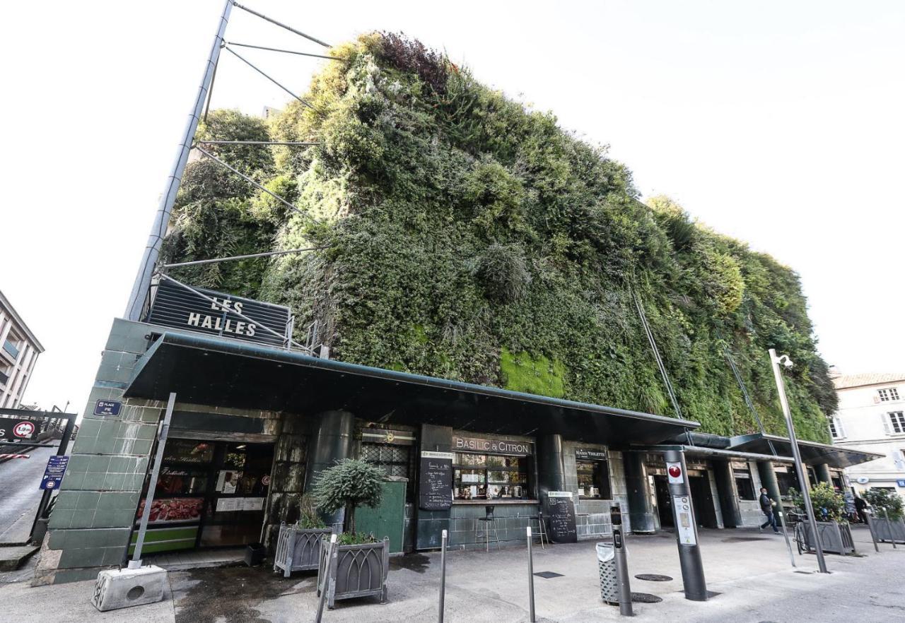 Avignon Pedestrian Area, Charming, 4 Persons Apartment Luaran gambar