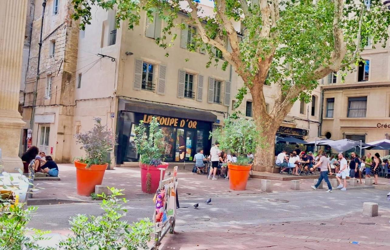 Avignon Pedestrian Area, Charming, 4 Persons Apartment Luaran gambar