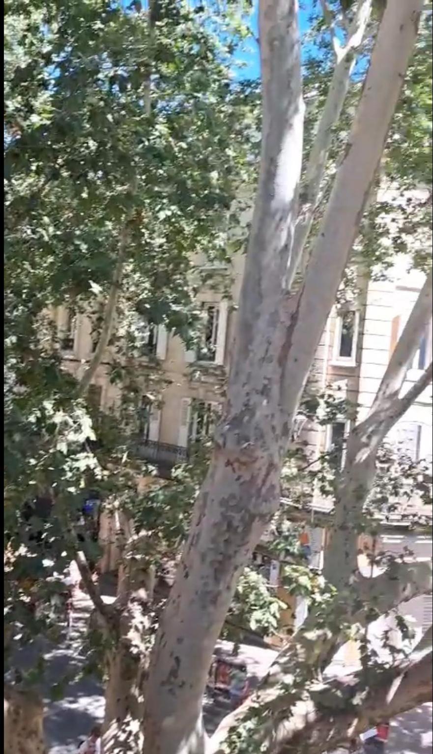 Avignon Pedestrian Area, Charming, 4 Persons Apartment Luaran gambar